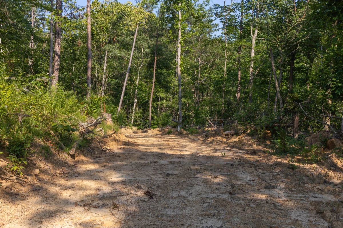 Creek Hollow Phase II Tract 84 - Main image
