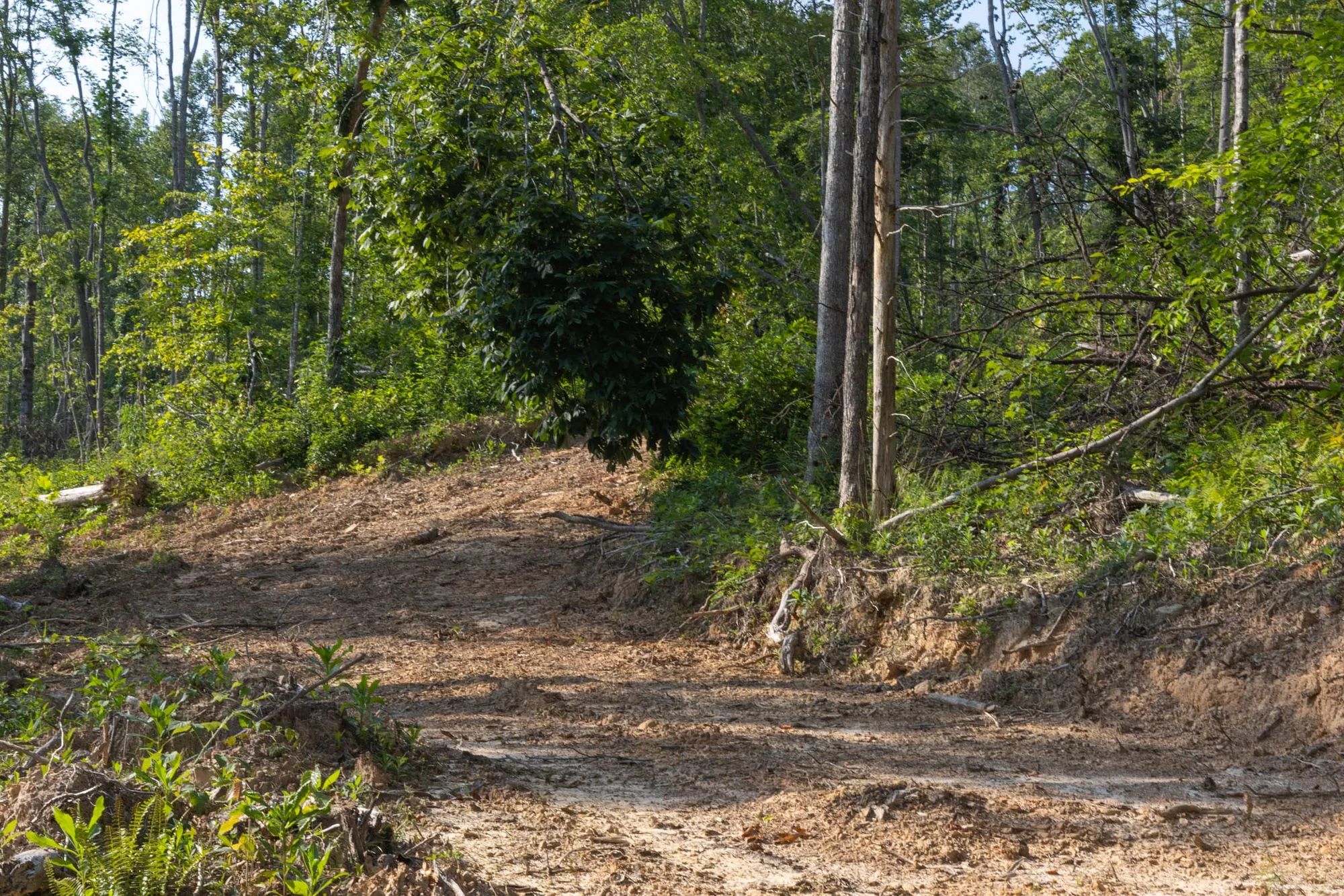 Creek Hollow Phase II Tract 84 in Rockcastle County, KY