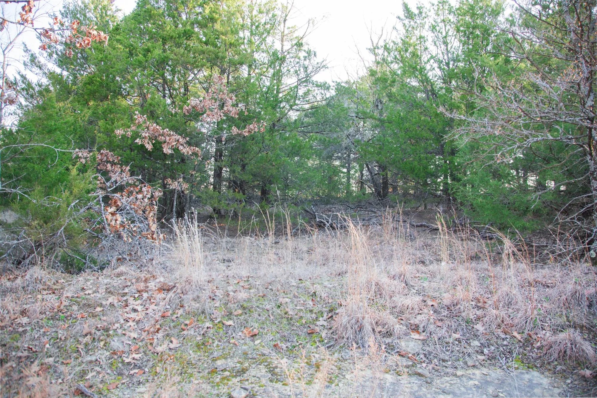 Eufaula Cove Tract 28 in Pittsburg County, OK