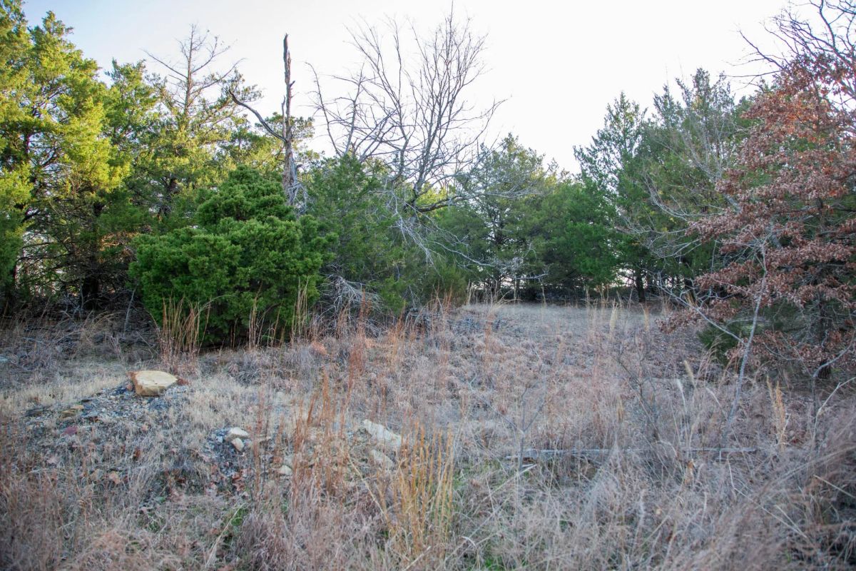 Eufaula Cove Tract 28 - Image 4