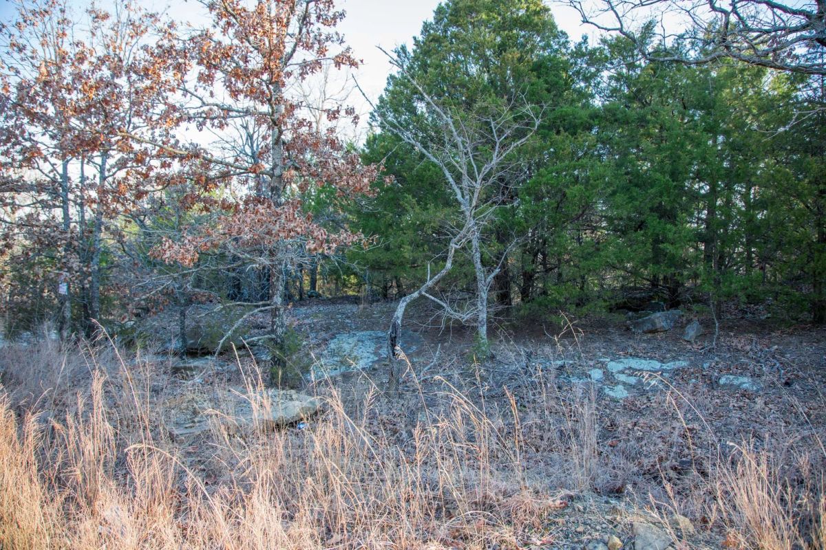 Decorative background for Eufaula Cove Tract 28 image 5