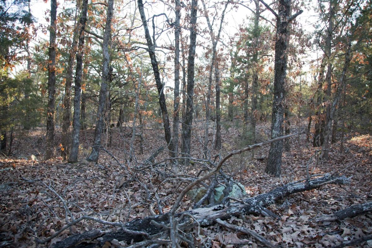 Decorative background for Eufaula Cove Tract 28 image 8
