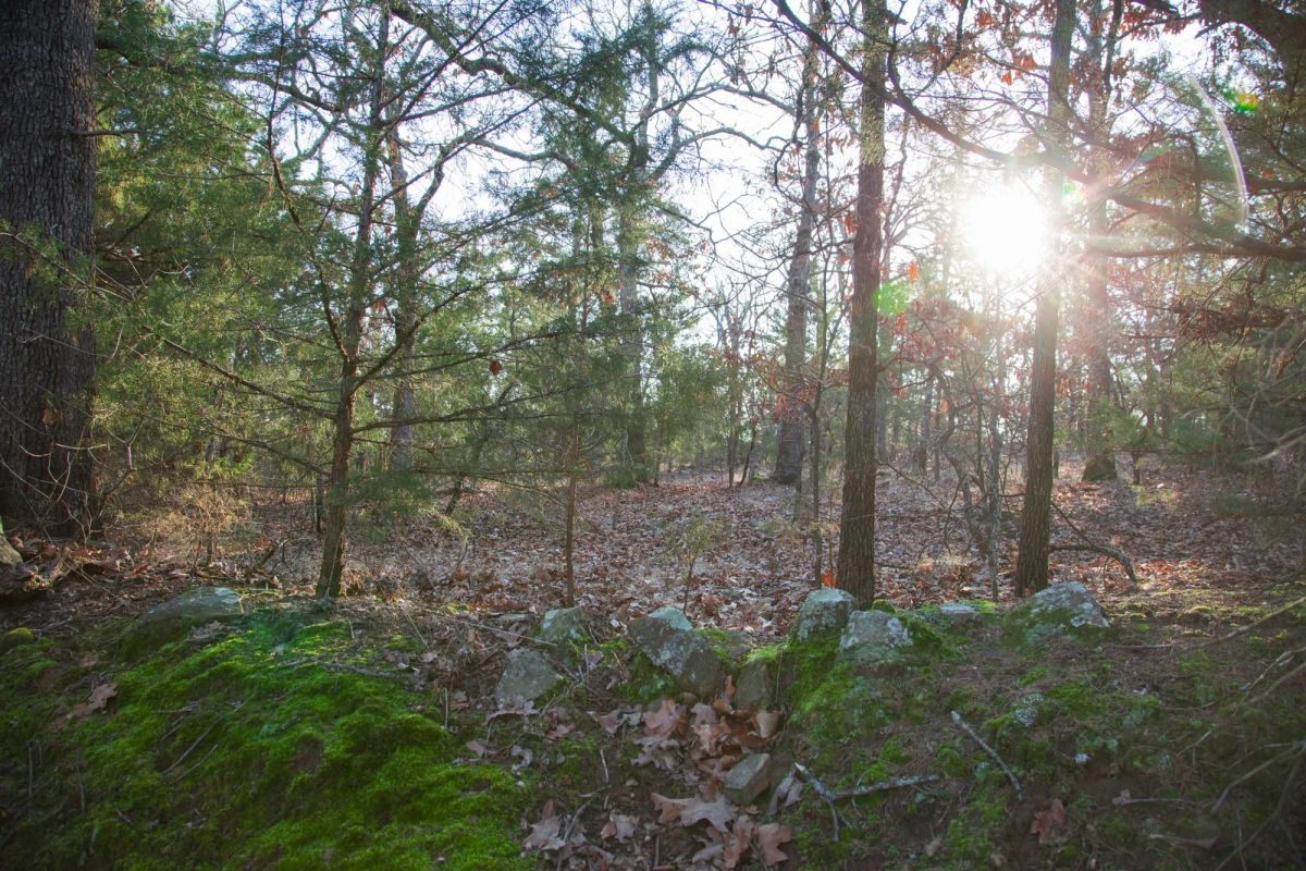 Decorative background for Eufaula Cove Tract 28 image 10