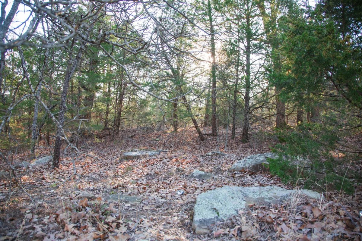 Decorative background for Eufaula Cove Tract 28 image 11