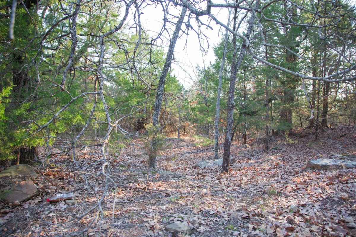 Decorative background for Eufaula Cove Tract 28 image 12