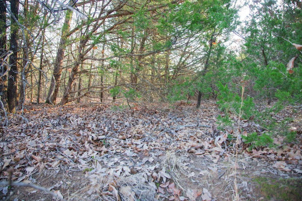 Decorative background for Eufaula Cove Tract 28 image 13