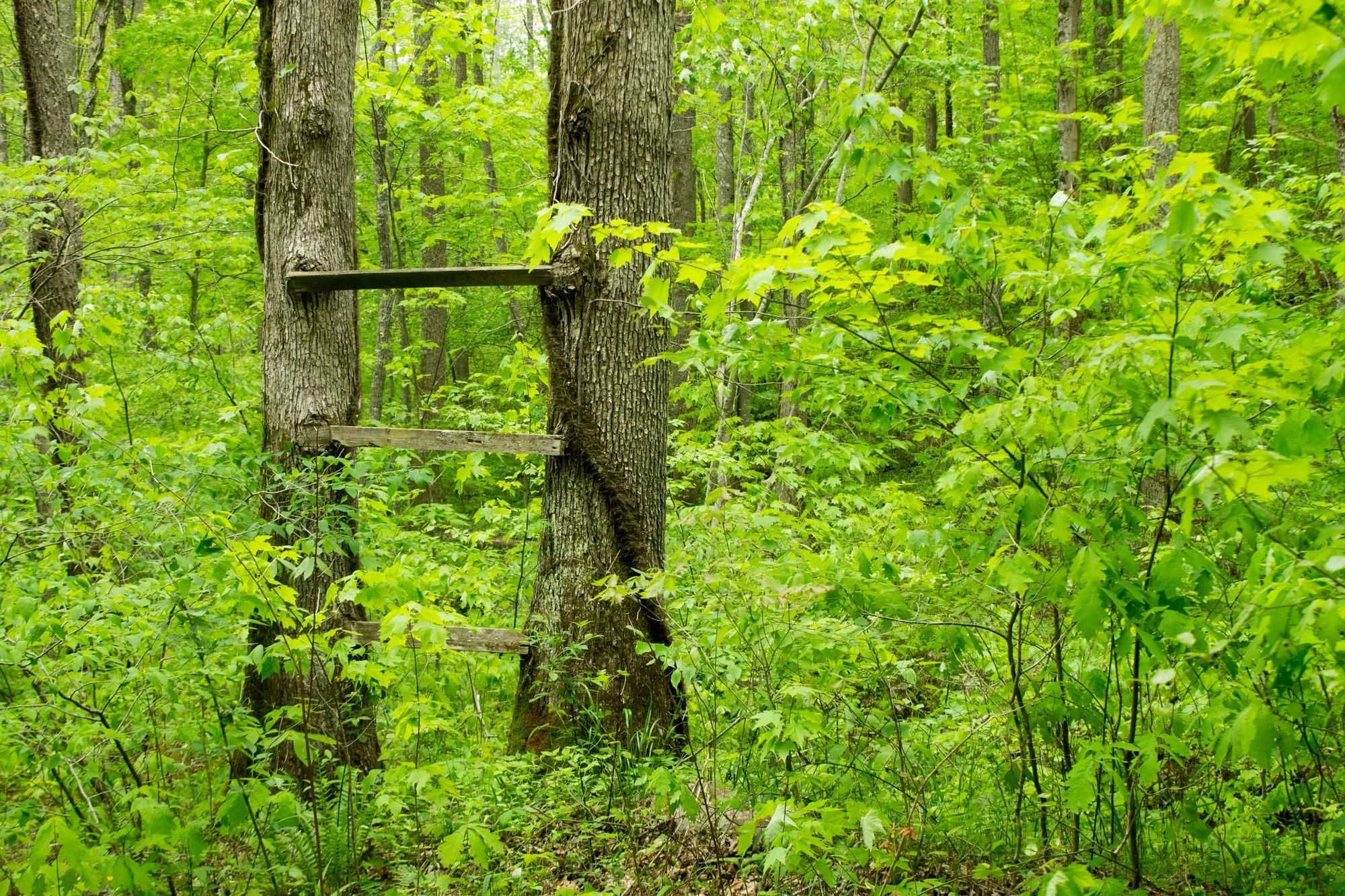 Trails End Tract 14 in Rockcastle County, KY