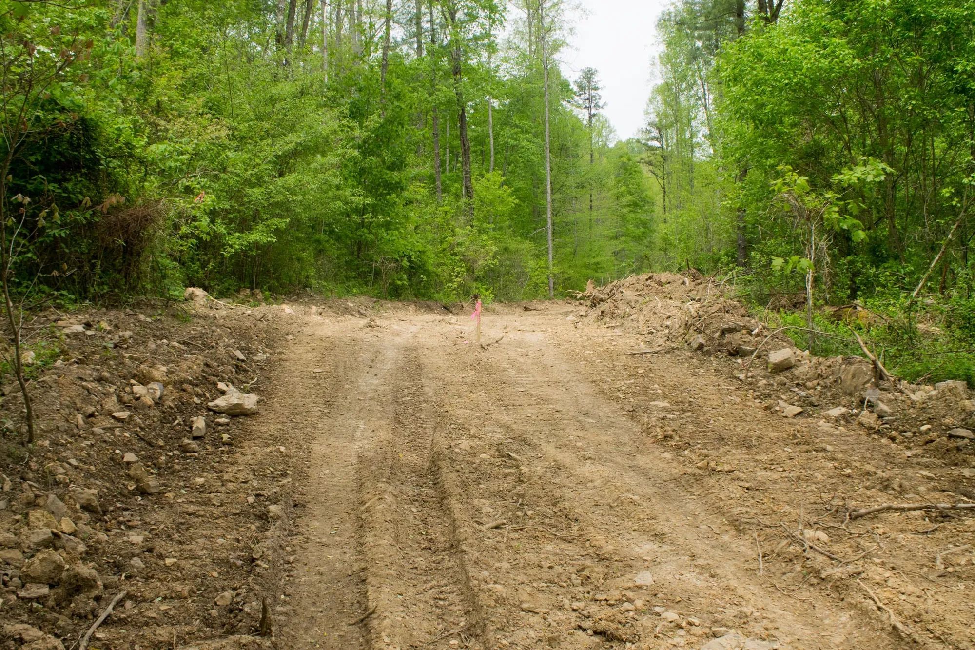Trails End Tract 14 in Rockcastle County, KY