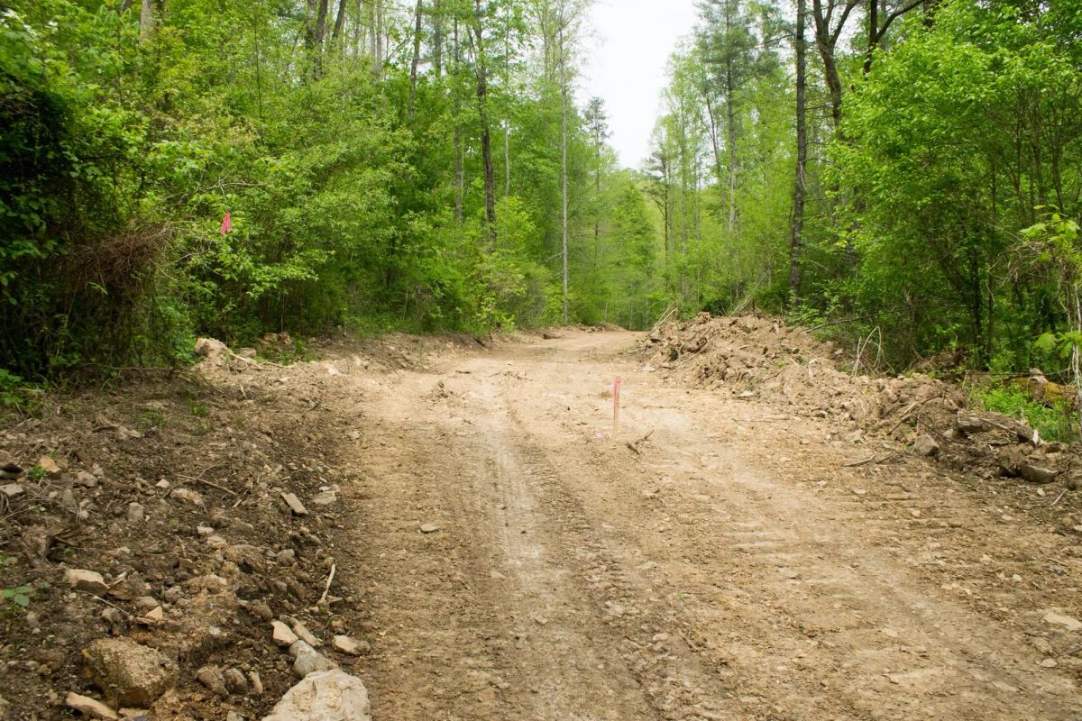 Decorative background for Trails End Tract 14 image 6