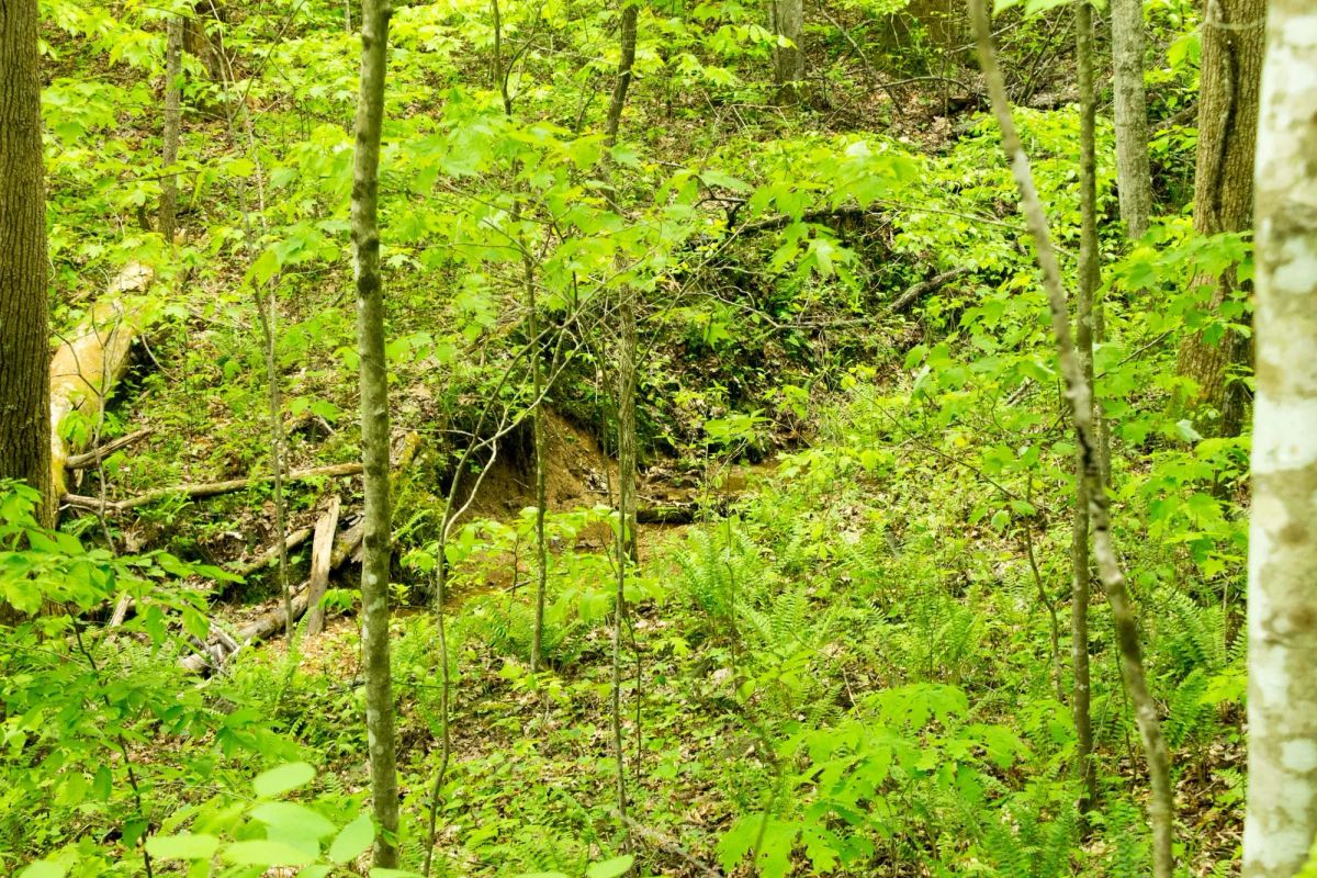 Decorative background for Trails End Tract 14 image 21