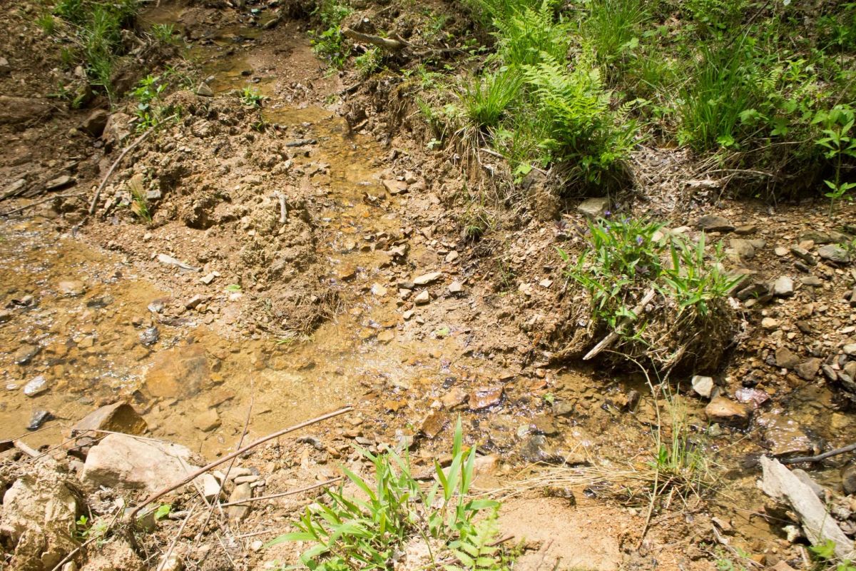 Decorative background for Trails End Tract 14 image 23