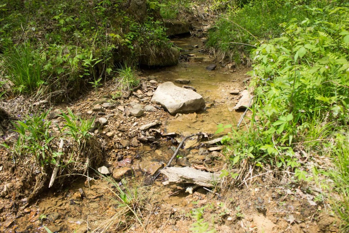 Decorative background for Trails End Tract 14 image 24
