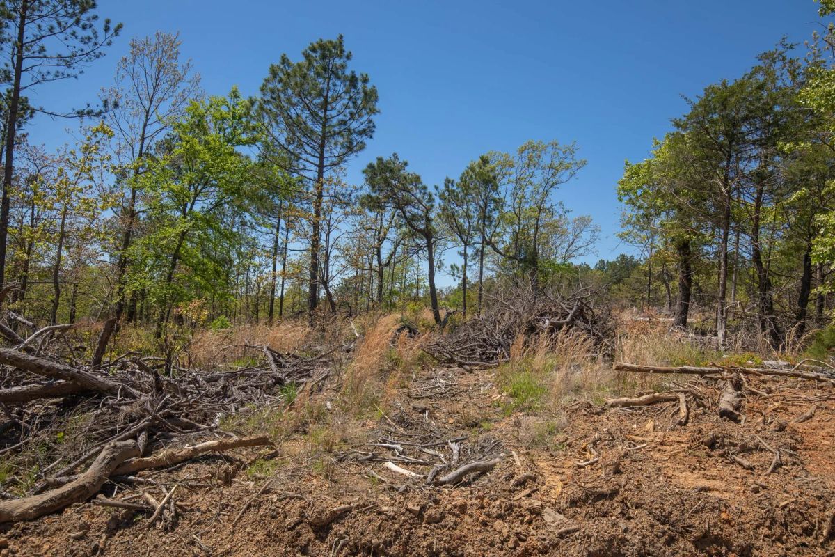 Eagle’s Nest Tract 9 - Image 2