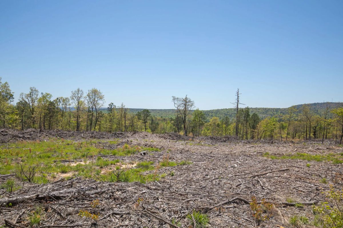 Eagle’s Nest Tract 9 - Image 4