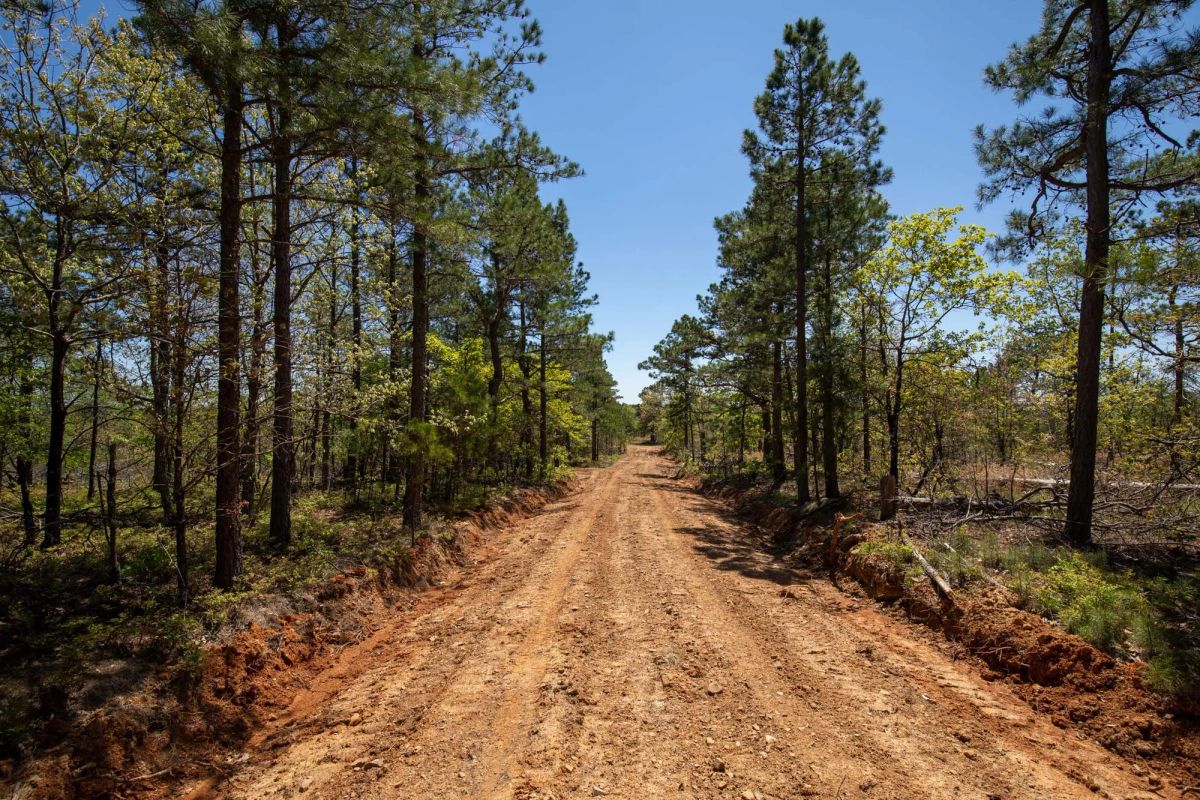 Decorative background for Eagle’s Nest Tract 9 image 5