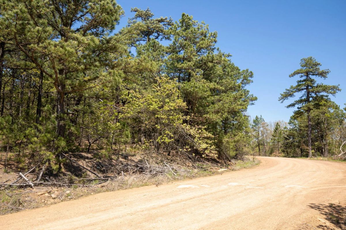 Decorative background for Eagle’s Nest Tract 9 image 6