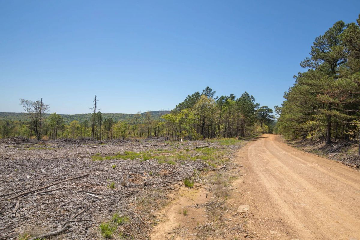 Decorative background for Eagle’s Nest Tract 9 image 7