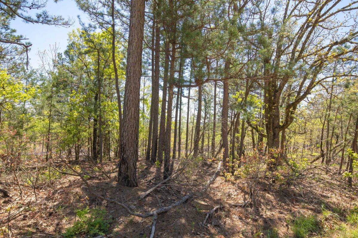 Decorative background for Eagle’s Nest Tract 9 image 9