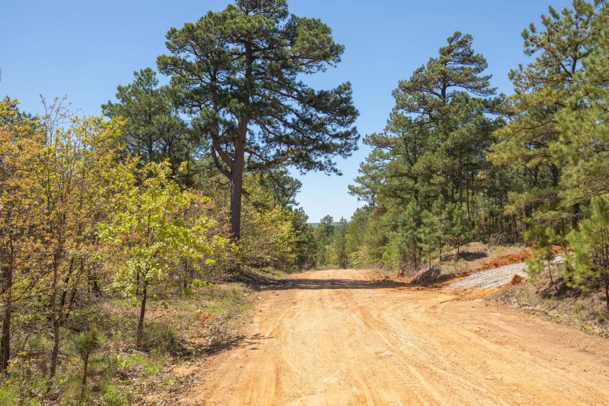 Decorative background for Eagle’s Nest Tract 9 image 10
