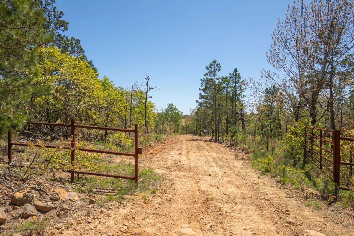 Decorative background for Eagle’s Nest Tract 9 image 11