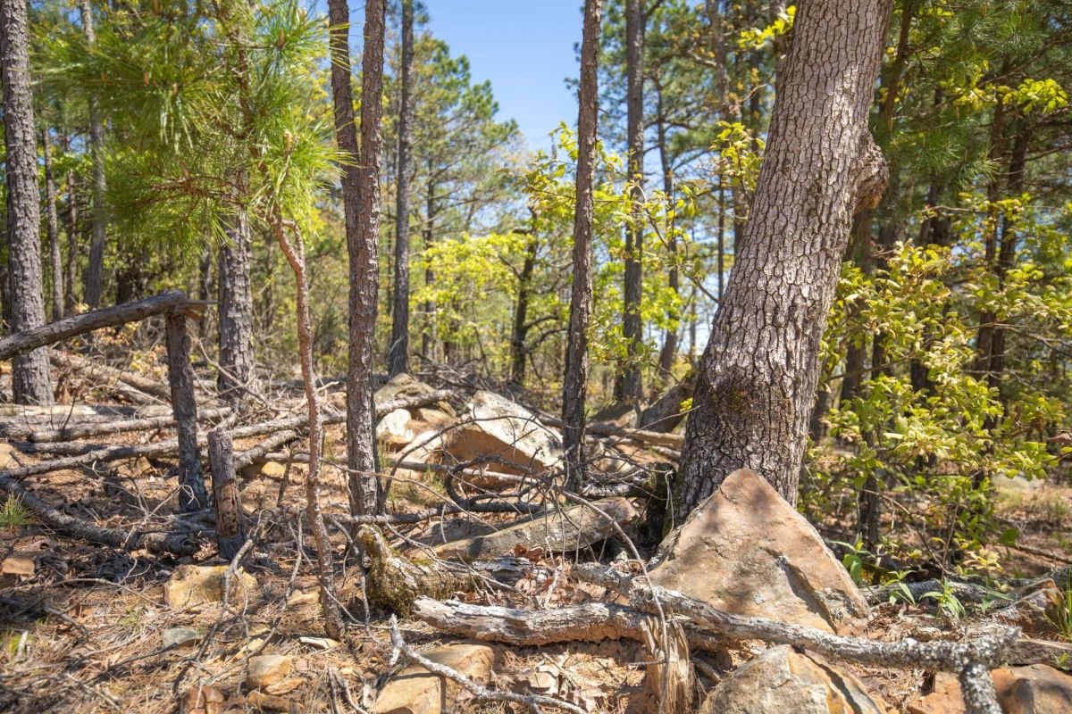 Decorative background for Eagle’s Nest Tract 9 image 12