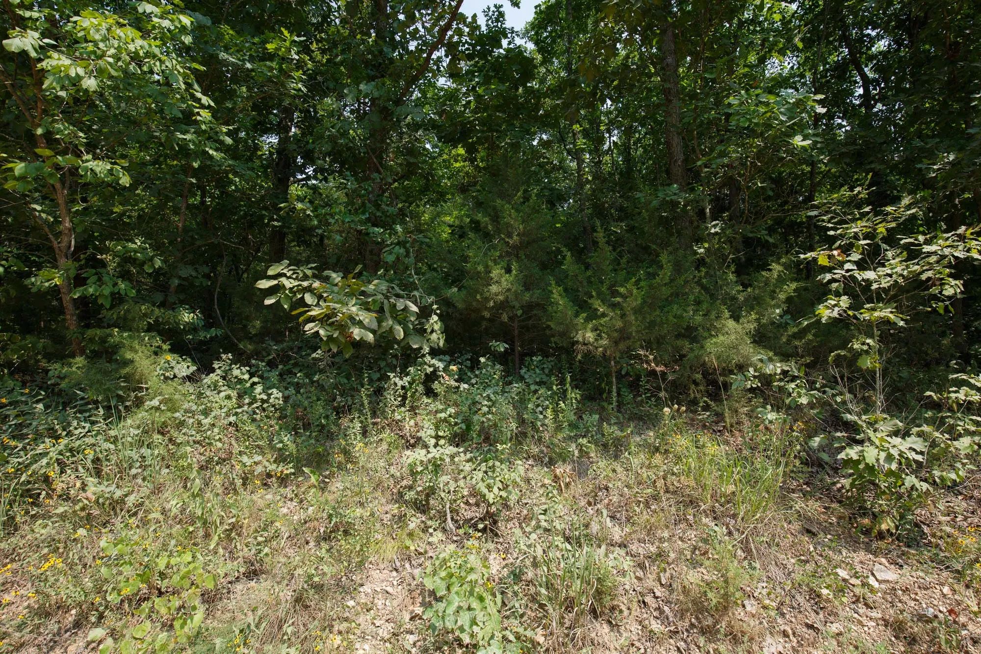 Spring Lake Plat 6 Tract 129 in Miller County, MO