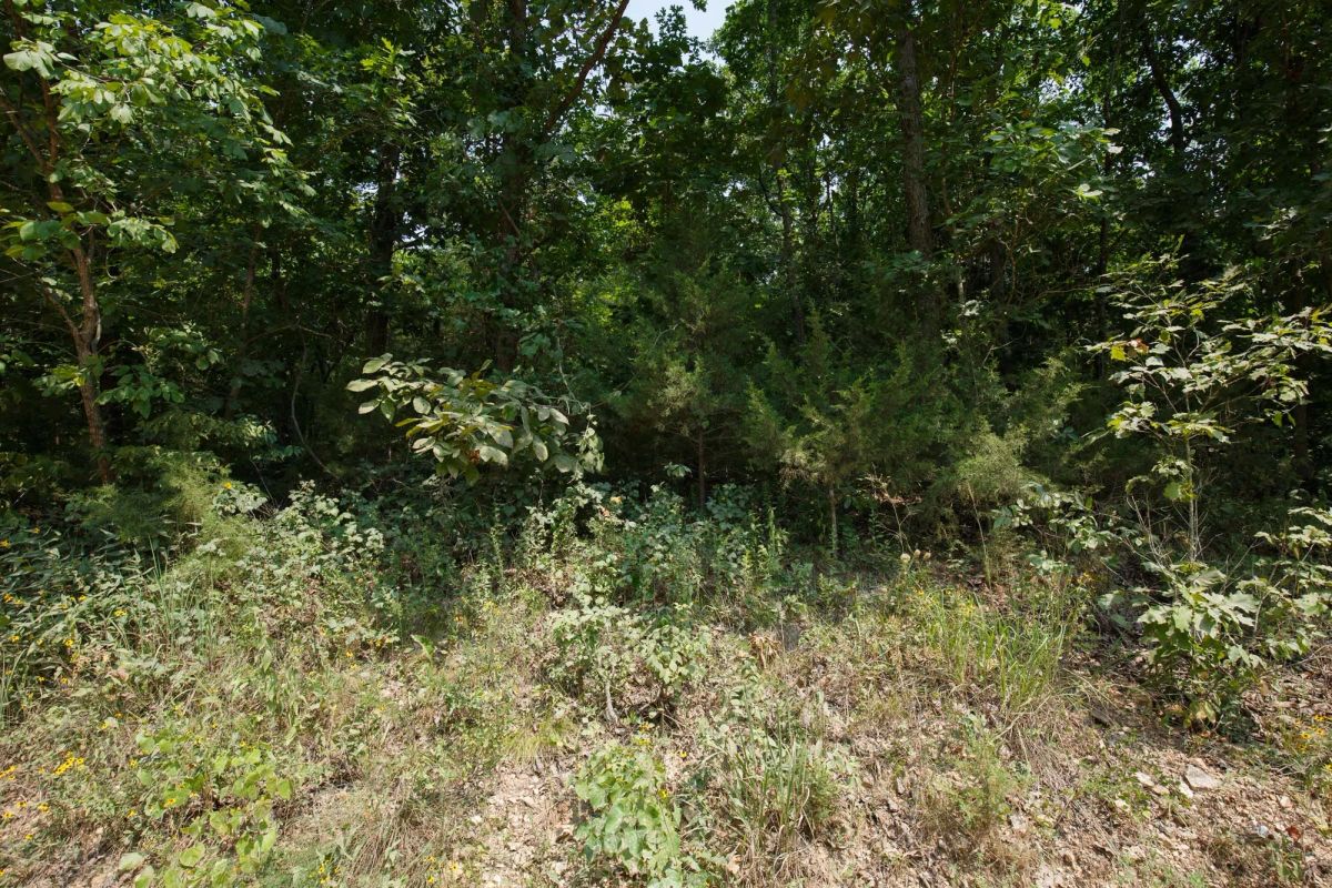 Spring Lake Plat 6 Tract 129 - Image 2
