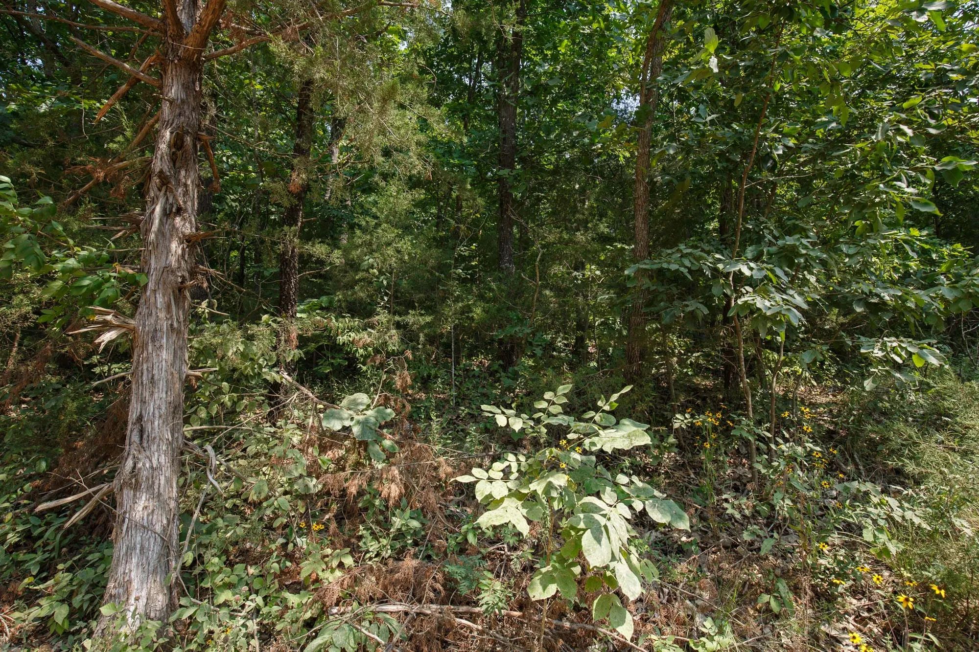 Spring Lake Plat 6 Tract 129 in Miller County, MO