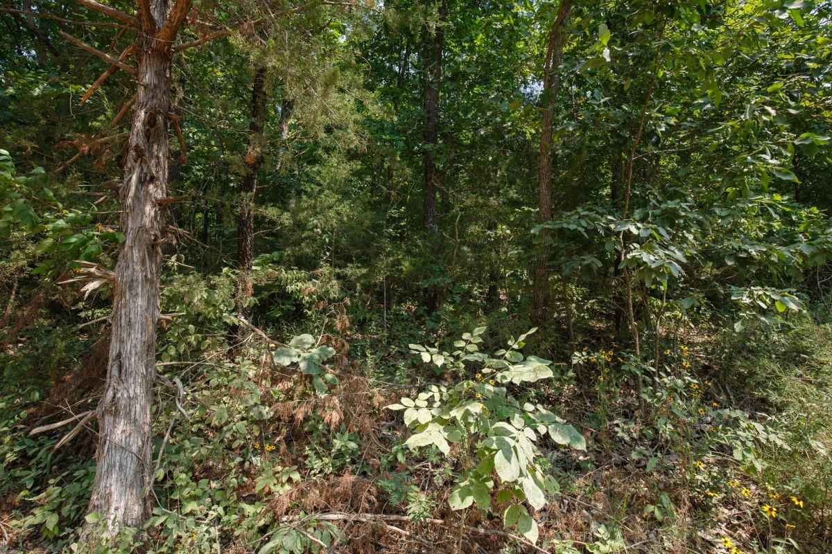 Spring Lake Plat 6 Tract 129 - Image 4