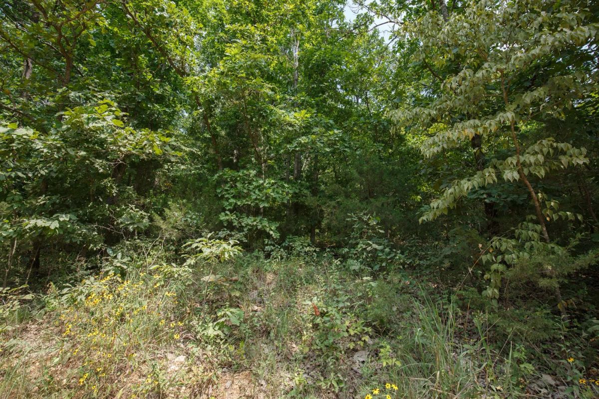 Decorative background for Spring Lake Plat 6 Tract 129 image 5