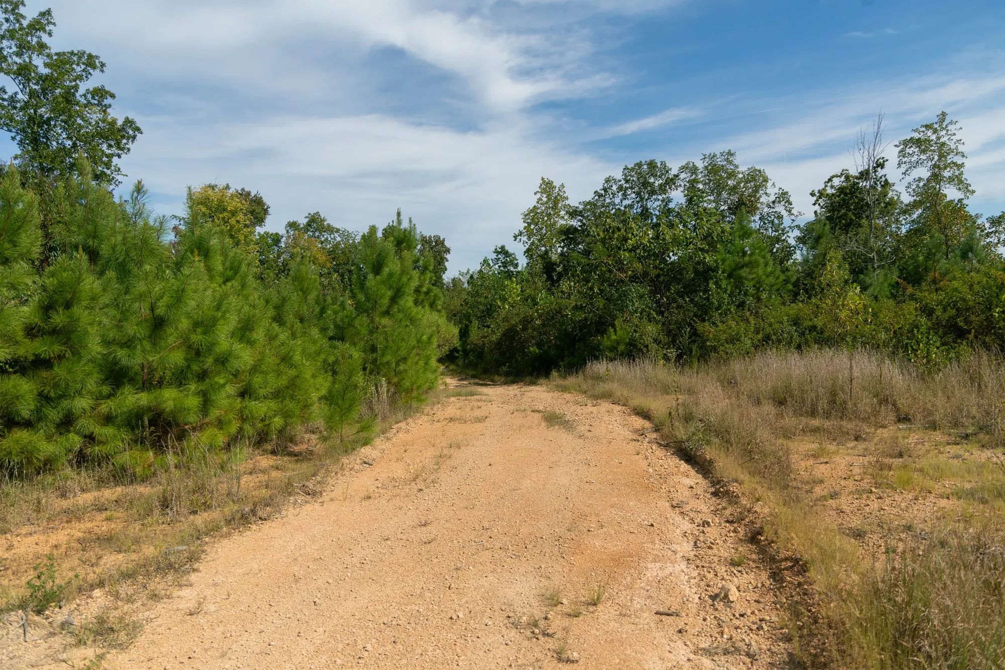 Big White Oak Tract 42 in Perry County, TN