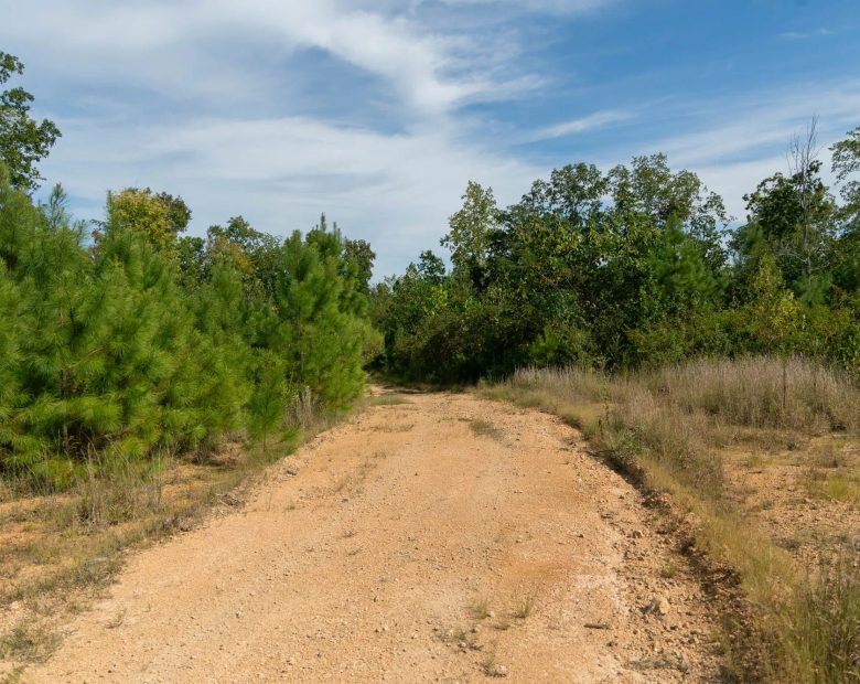 Big White Oak Tract 42 in Perry County, TN