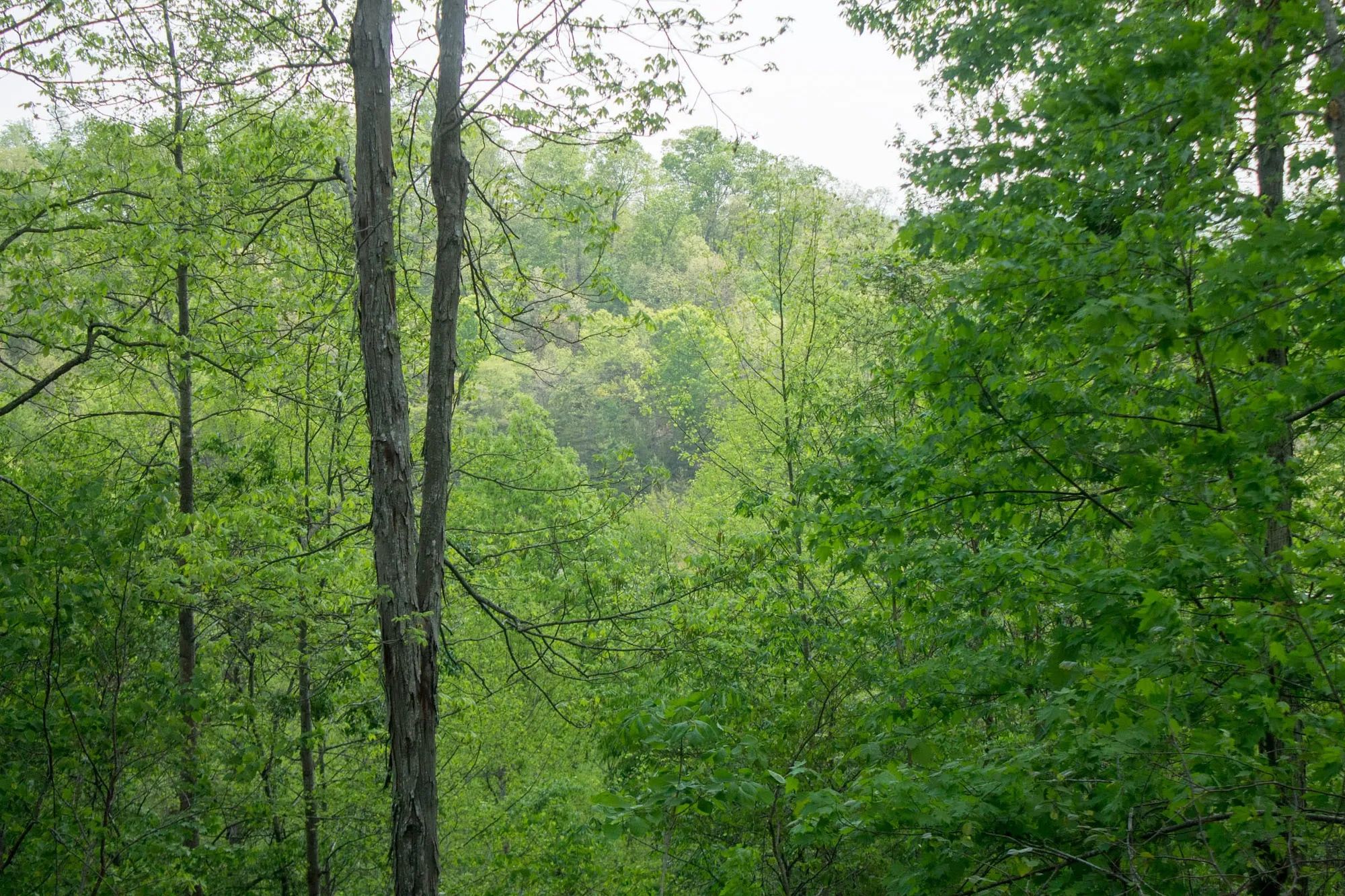 Trails End Tract 21 in Rockcastle County, KY