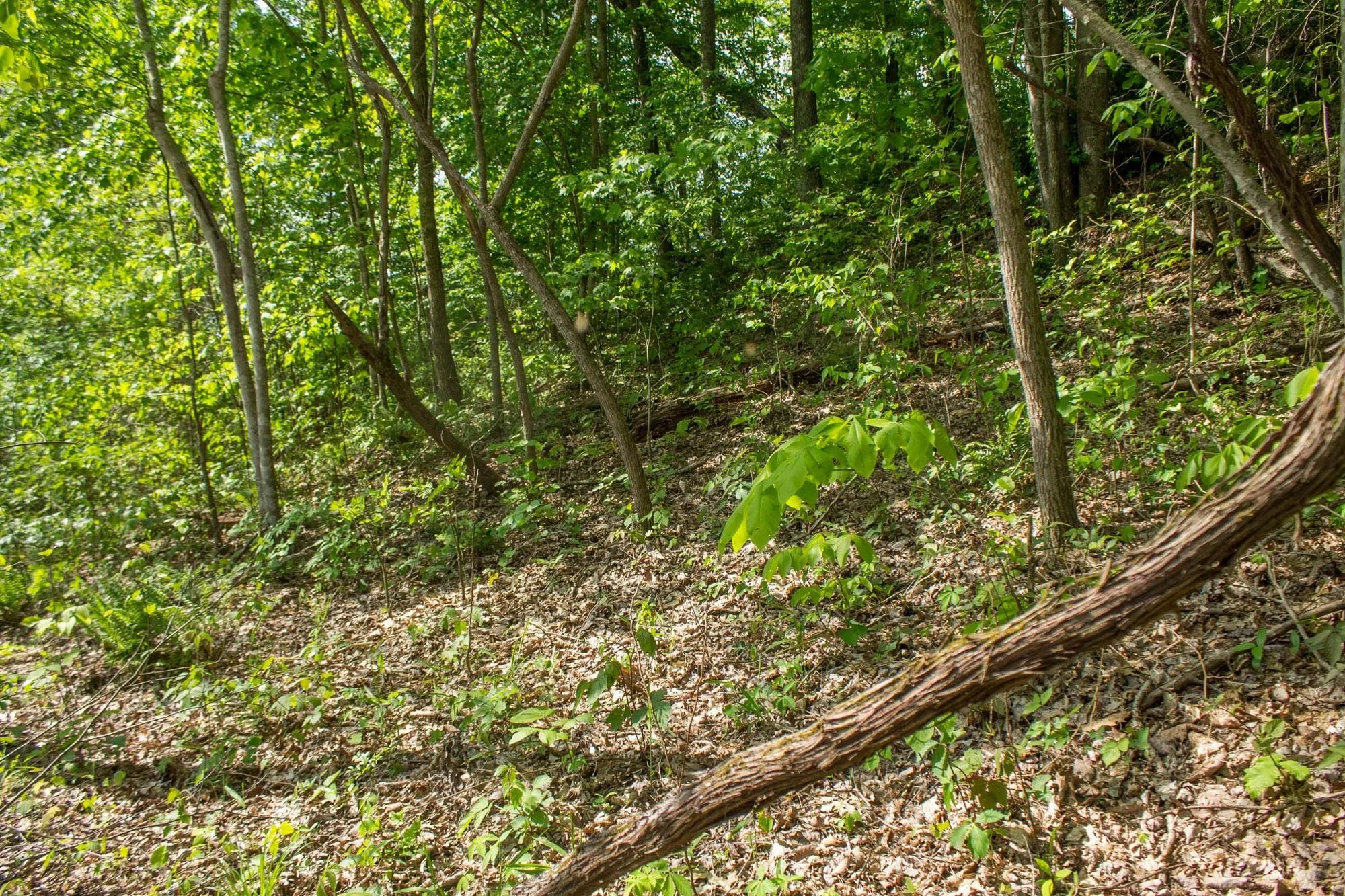 Trails End Tract 21 in Rockcastle County, KY