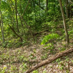 Trails End Tract 21 in Rockcastle County, KY