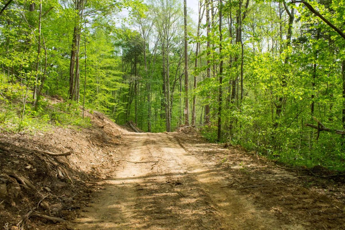 Decorative background for Trails End Tract 21 image 12