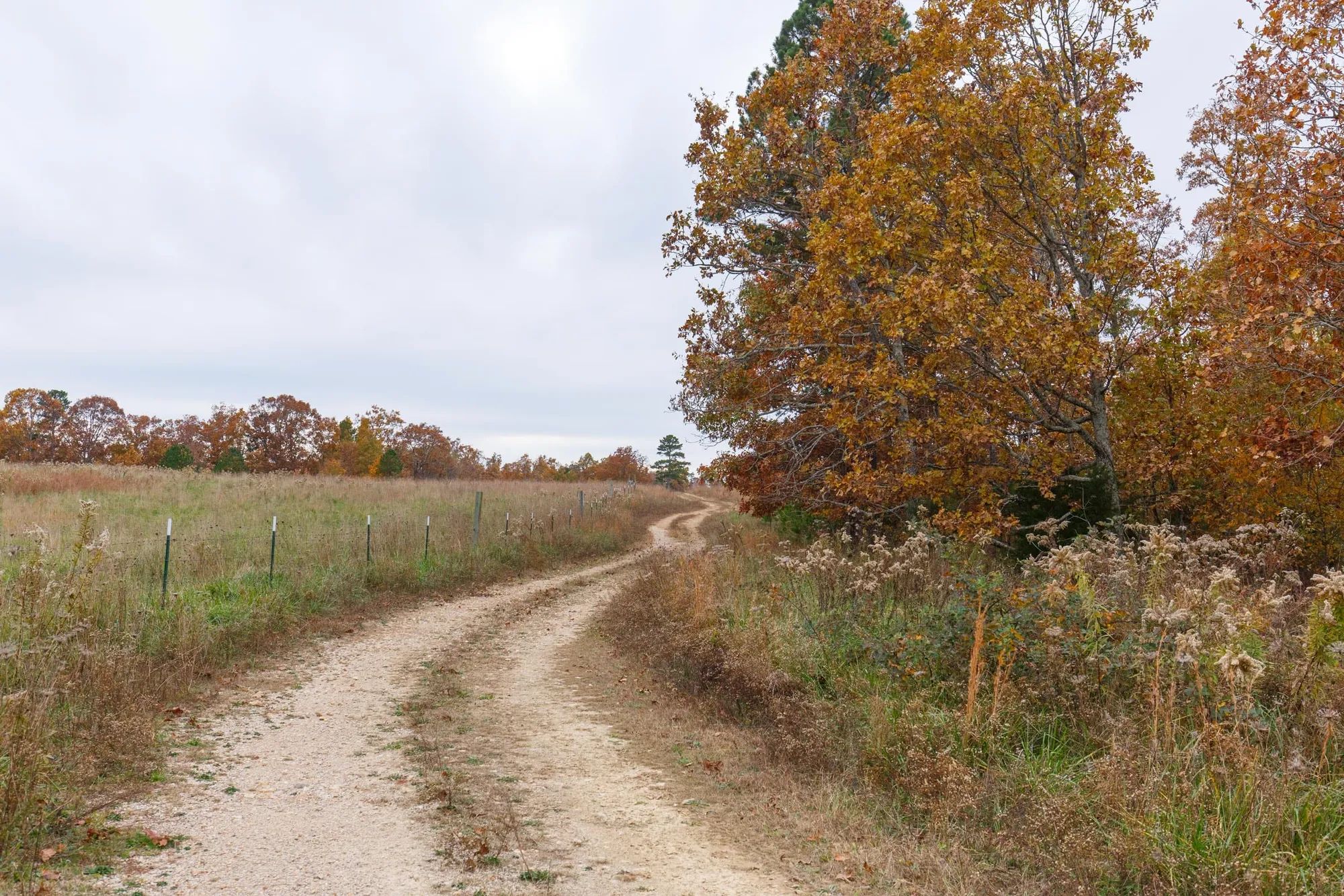 Hawkcrest Tract 21 in Reynolds County, MO