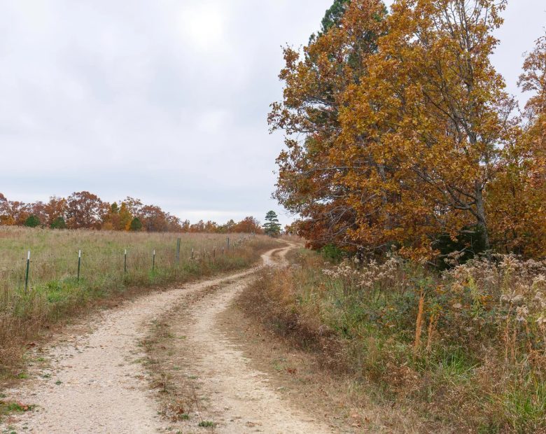 Hawkcrest Tract 21 in Reynolds County, MO