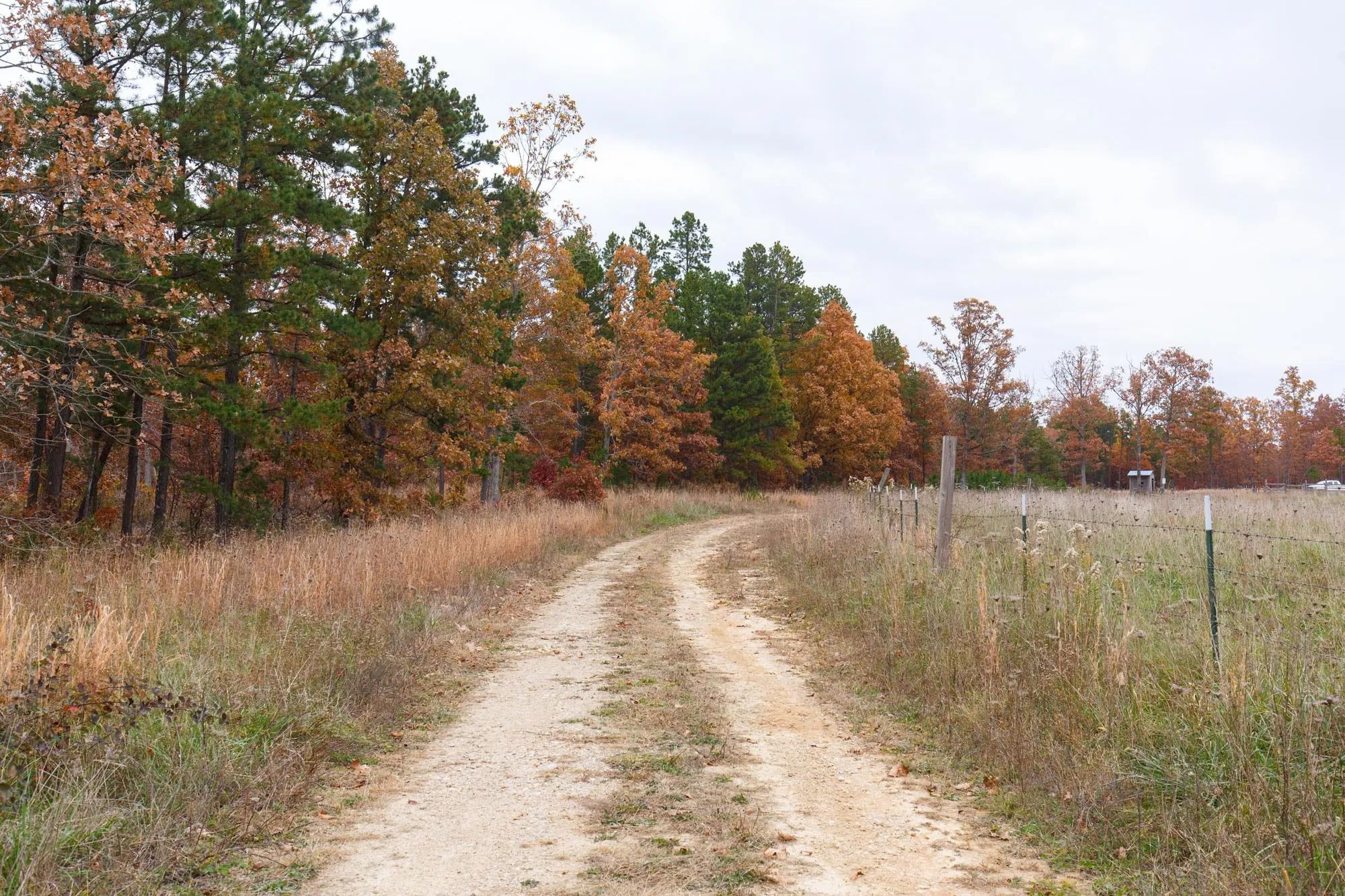 Hawkcrest Tract 21 in Reynolds County, MO