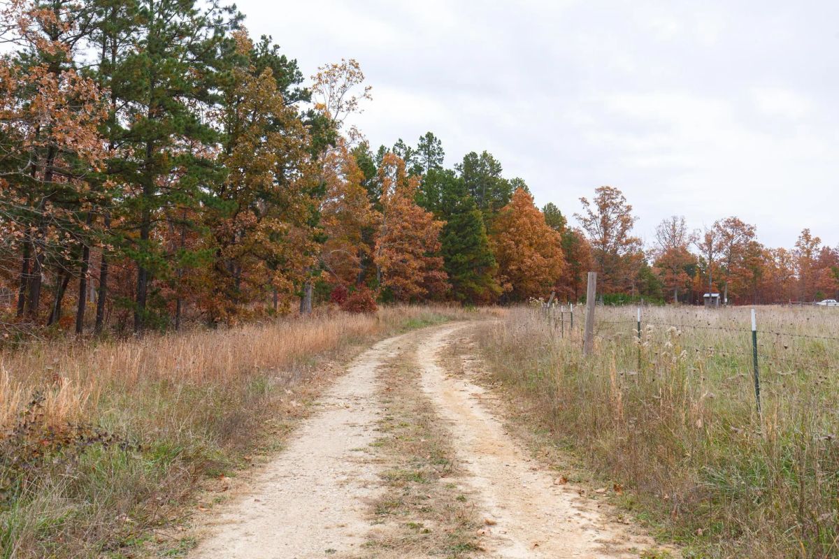 Hawkcrest Tract 21 - Image 4