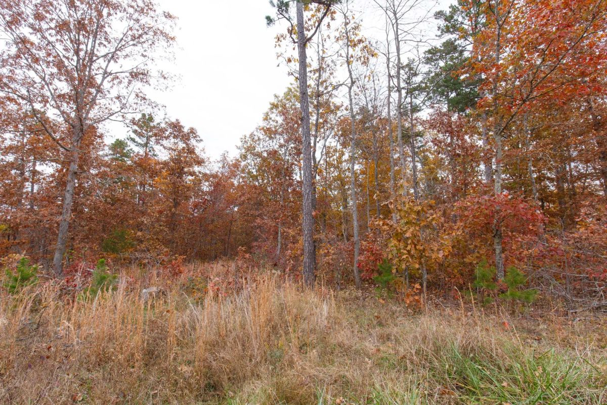 Decorative background for Hawkcrest Tract 21 image 6