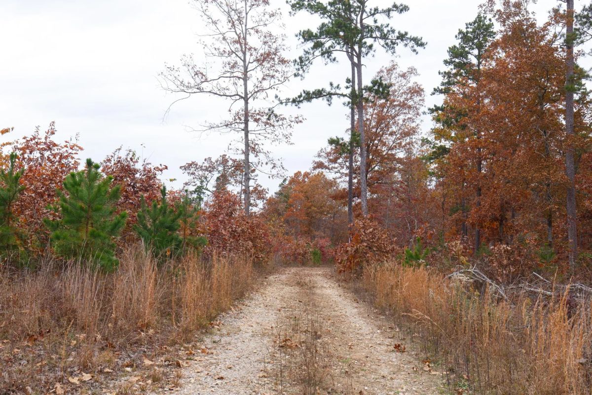 Decorative background for Hawkcrest Tract 21 image 7