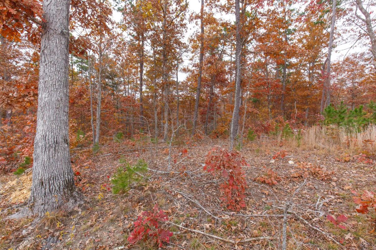 Decorative background for Hawkcrest Tract 21 image 9