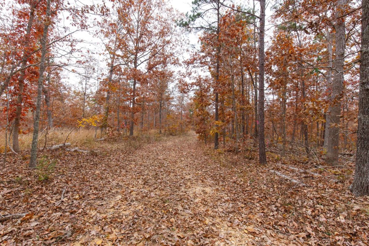 Decorative background for Hawkcrest Tract 21 image 10