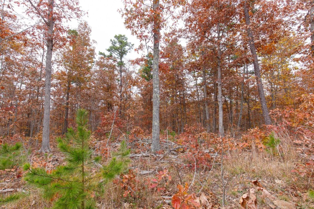 Decorative background for Hawkcrest Tract 21 image 11