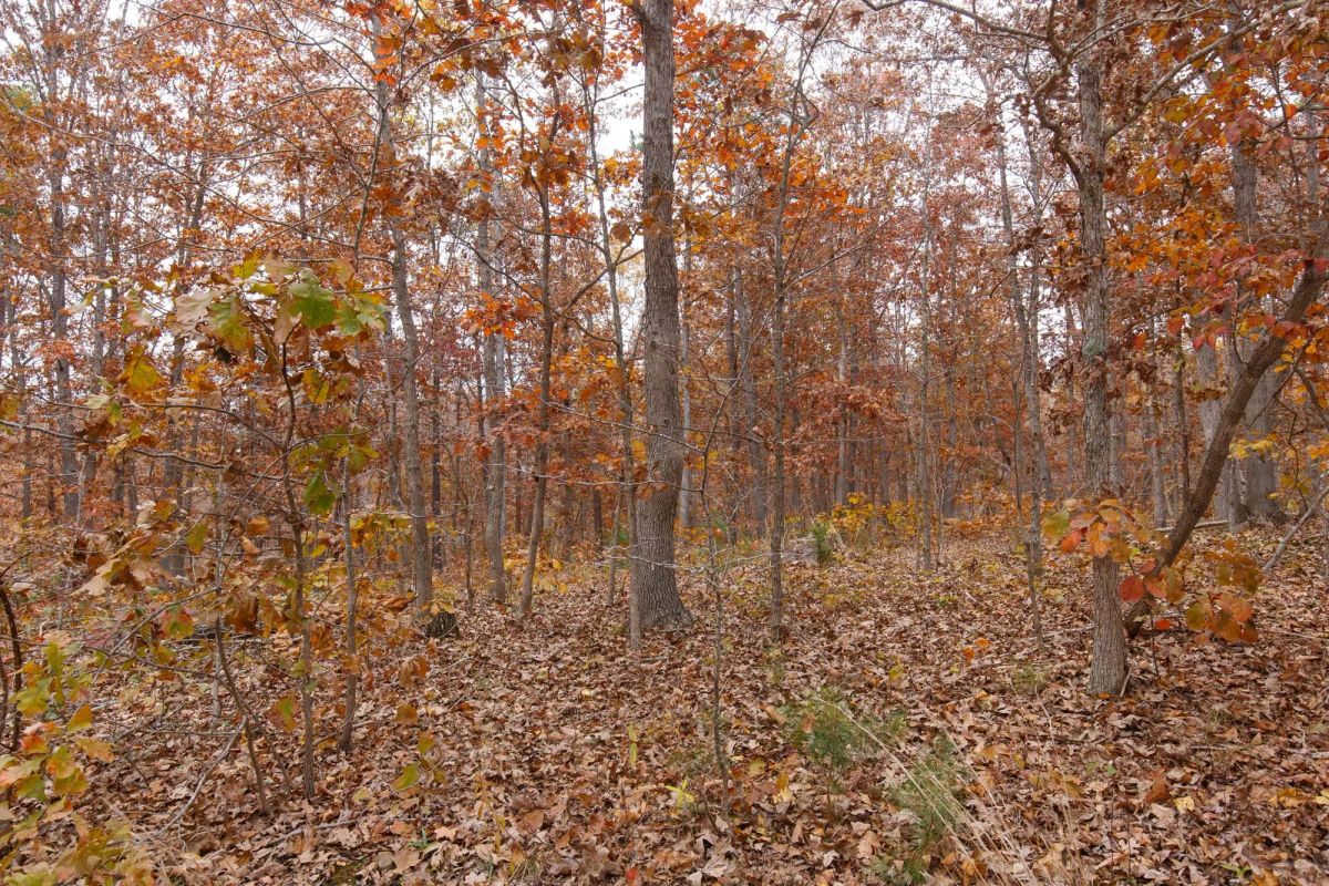 Decorative background for Hawkcrest Tract 21 image 12