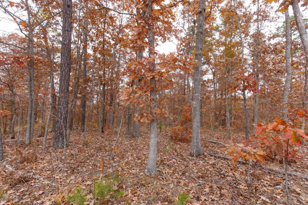 Decorative background for Hawkcrest Tract 21 image 13