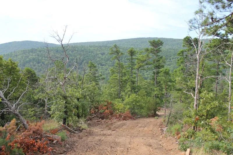 Trophy Ridge Phase III Tract 25 in Pushmataha County, OK