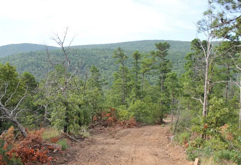 Trophy Ridge Phase III Tract 25 in Pushmataha County, OK