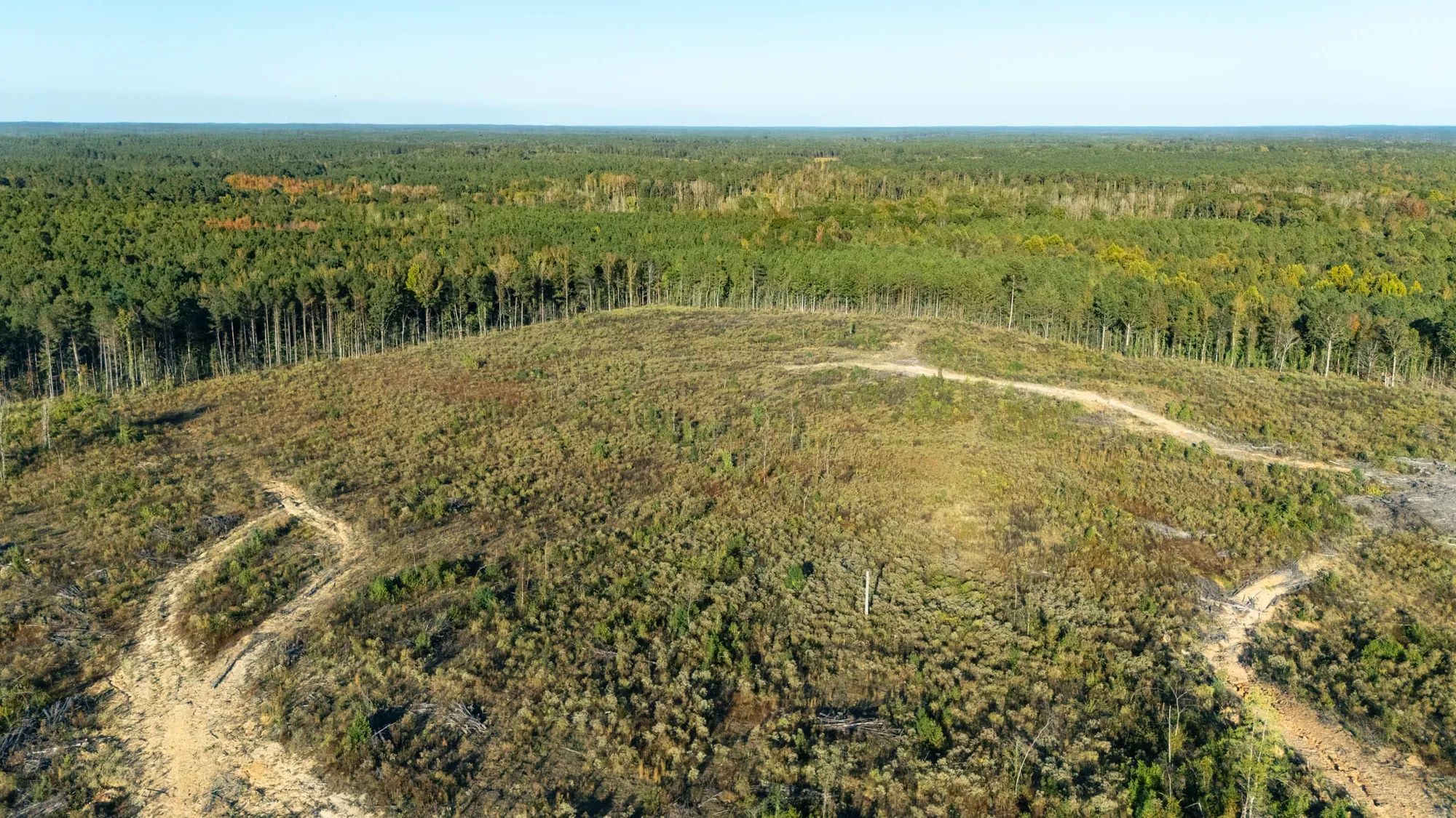 Meyer’s Ridge Tract 28 in Attala County, MS